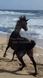 Project_03-08_Full HD 1080p_MEDIUM_FR30