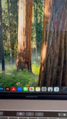 90B2968E-CBD7-4E81-A63B-0D44E9206EEC